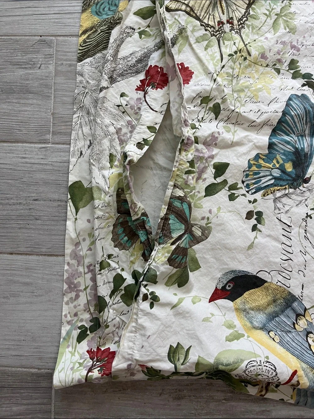PotteryBarn vintage inspired floral bird garden oversize euro pillow sham cotton